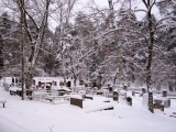 Pilt: Juudi kalmistu