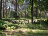Pilt: Kalmistu üldvaade.jpg